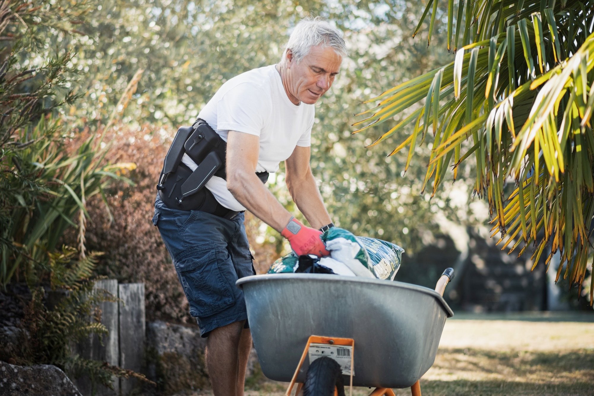 Japet.W+ jardinage Japet.W+ jardinage