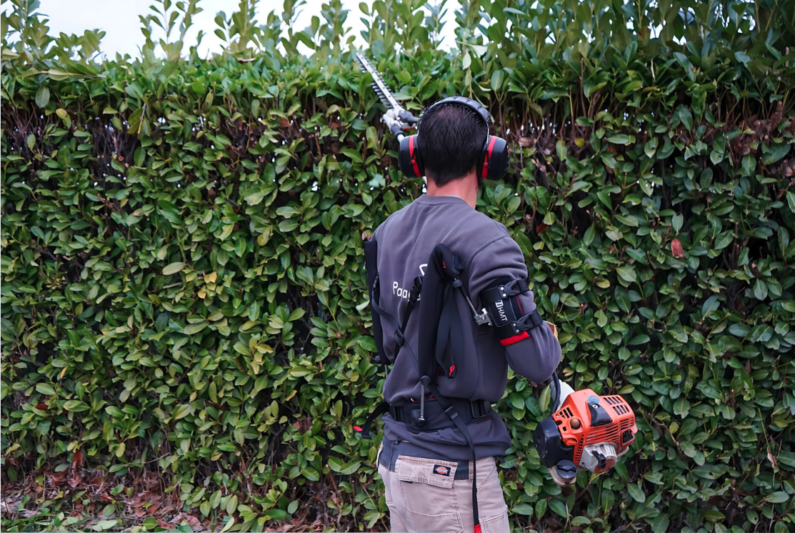 Paysagiste 1 Paysagiste 1